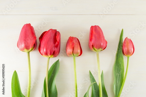 Red tulips on white wooden board