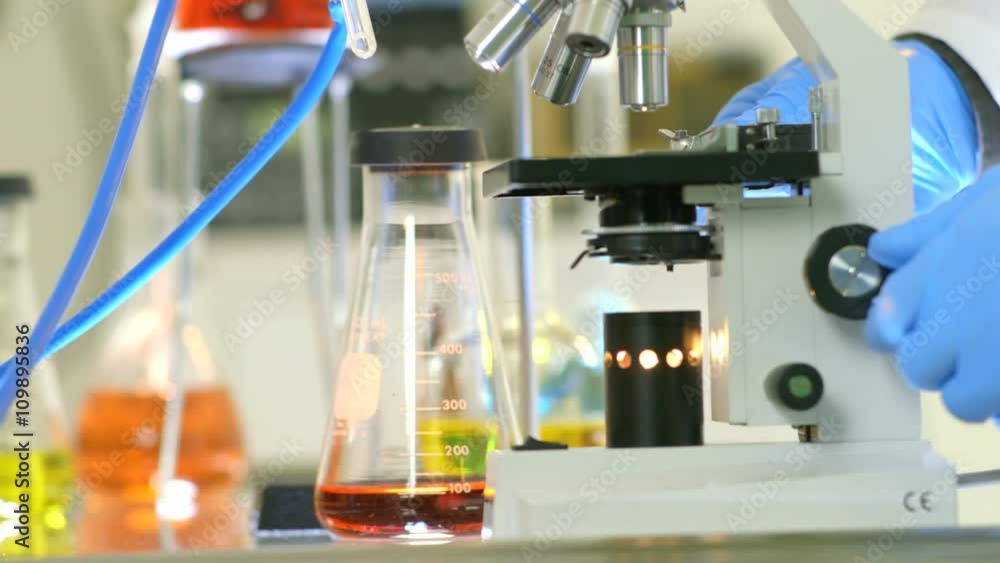 The gloved hands of a scientist makes adjustments to the focus of a laboratory microscope. The gloved hands of a scientist makes adjustments to the focus of a laboratory microscope.