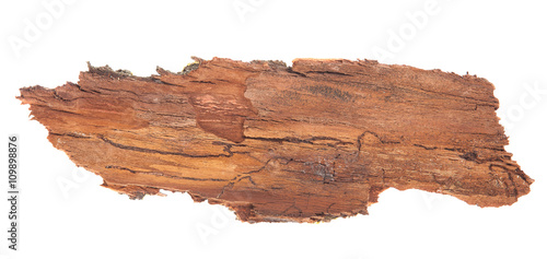 Bark tree isolated on white background photo