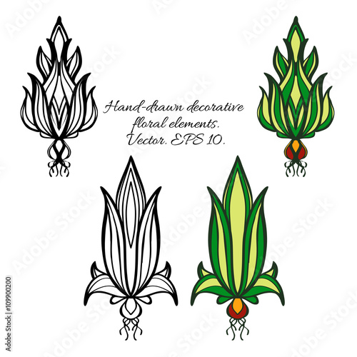 Set of decorative herbal vector elements, image of bulbous plants in the style of Art Nouveau. Vector colored and black-and-white stylized ornament.