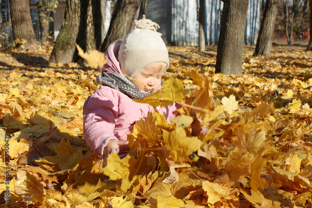 baby plays with Autumn leaves in the park baby plays with Autumn leaves in the park