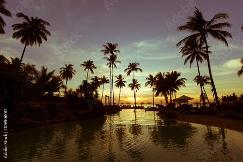 Swimming pool with palm trees at twilight.
