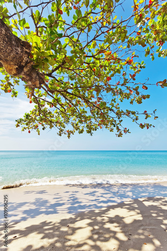 Exotic tropical sea