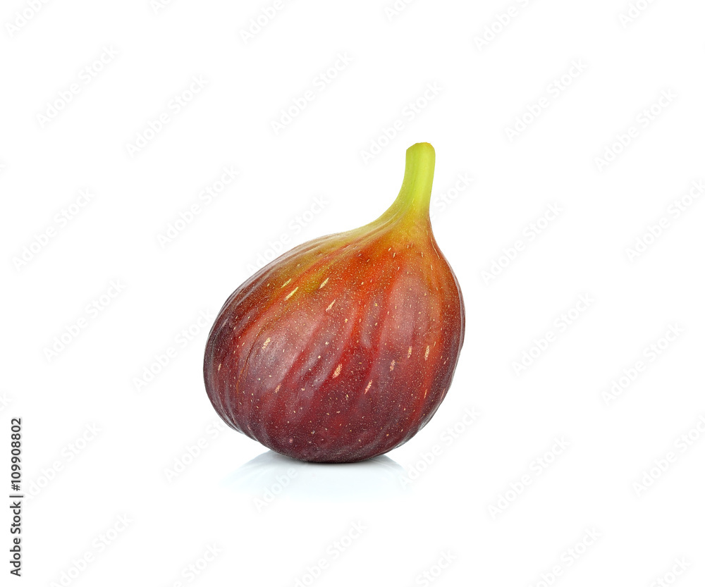 Fototapeta premium Common Fig on white background