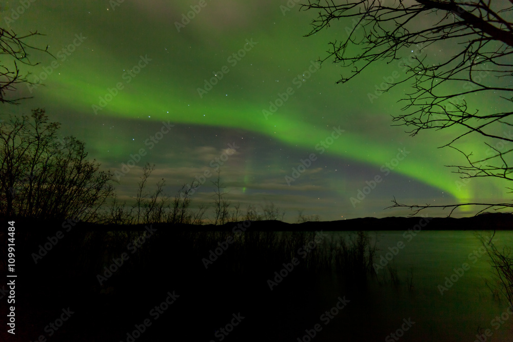 Aurora borealis green band over calm northern lake