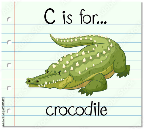 Flashcard letter C is for crocodile