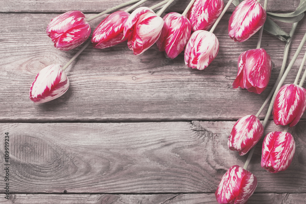 beautiful tulips on wooden background beautiful tulips on wooden background