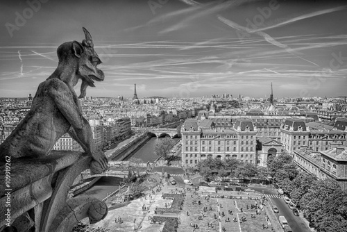 Obraz na płótnie notre dame gorgoyle paris view