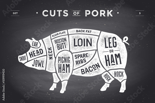 Cut of meat set. Poster Butcher diagram, scheme and guide - Pork. Vintage typographic hand-drawn on a black chalkboard background. Vector illustration