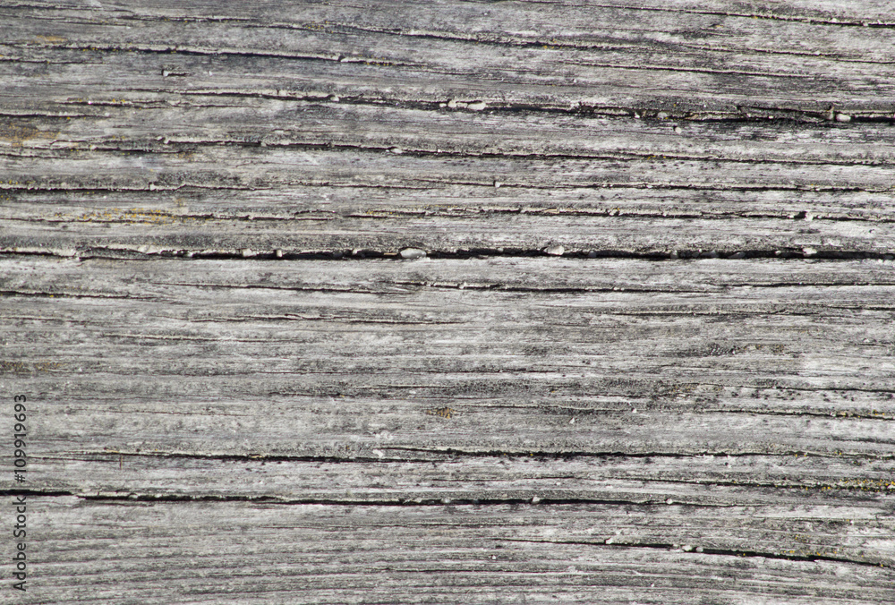 Gray wooden texture
