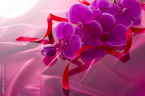 Fototapeta Naklejka Na Ścianę i Meble -  ピンクの胡蝶蘭
