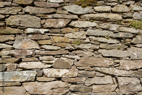 Obraz na płótnie Natursteinmauer w salonie