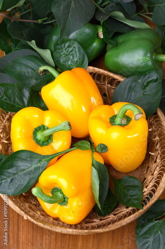 Yellow and green pepper still life