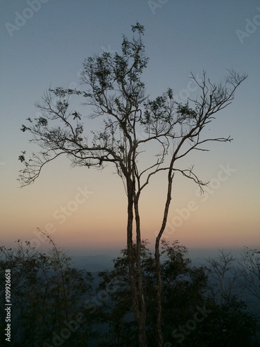 Sunset on the hill