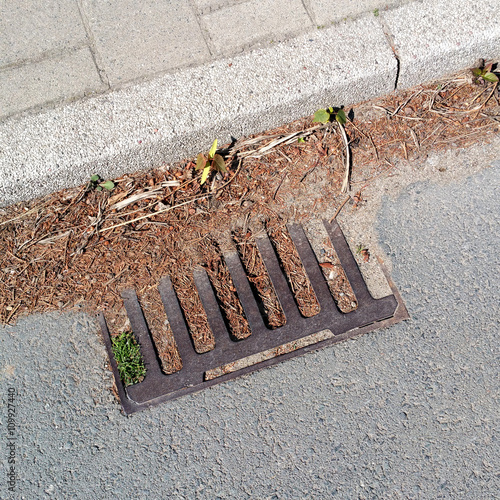 Ein mit Laub verstopfter Gulli