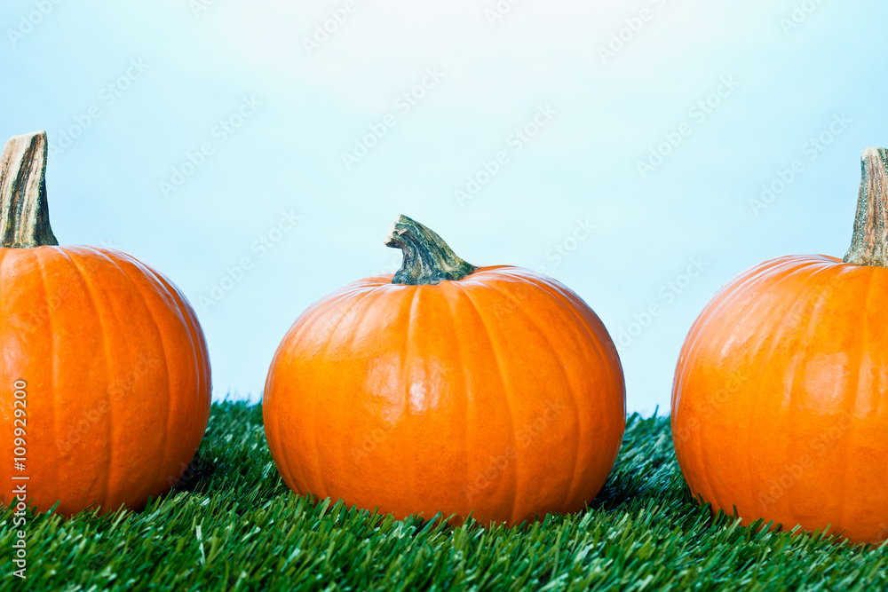 cropped view of halloween pumpkins over blue background.