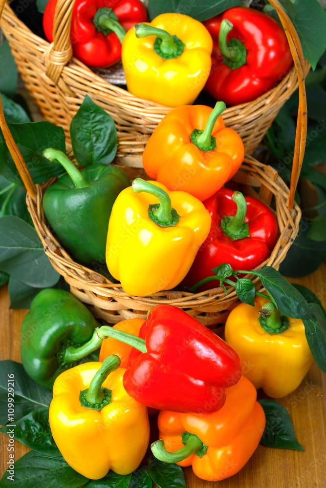 Many colored peppers still life