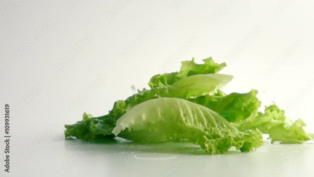 Lettuce leaves with water drops falling on white surface in slow motion Lettuce leaves with water drops falling on white surface in slow motion