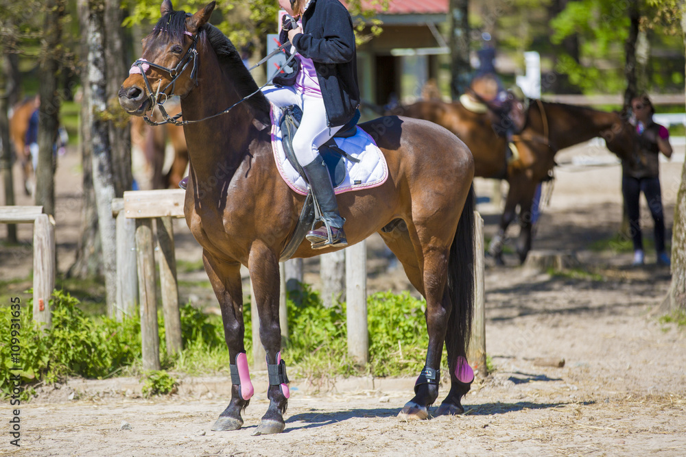 Le cheval et son cavalier Le cheval et son cavalier