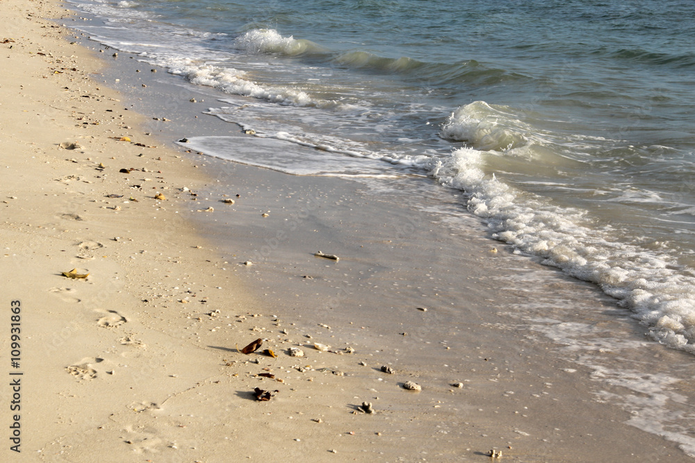 Sandy beach on a wild island in Thailand Sandy beach on a wild island in Thailand