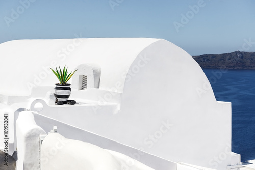 Agave plant and white architecture in Santorini, Greece
