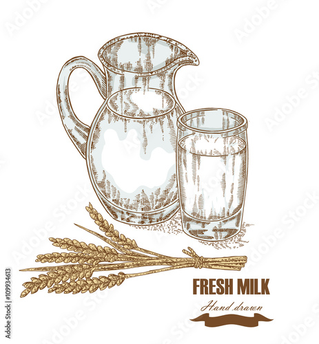 Hand drawn jug and glass of milk with wheat ears isolated. Vector