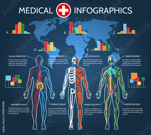Human Body Anatomy Medical Infographic vector illustration