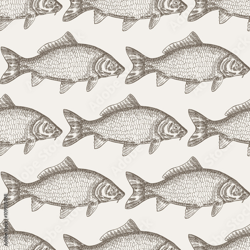 Hand drawn carp fish seamless background. Vector illustration se