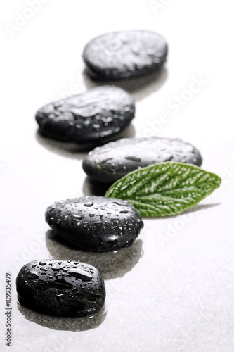 spa basalt stones and green leaves with water drops on white