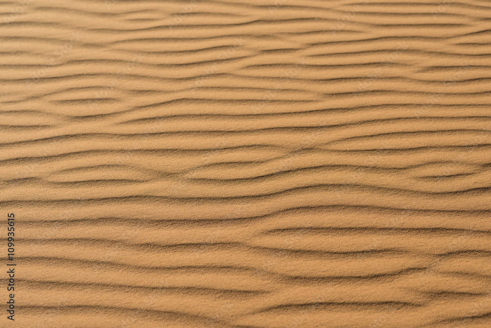 Fototapeta Sand dunes