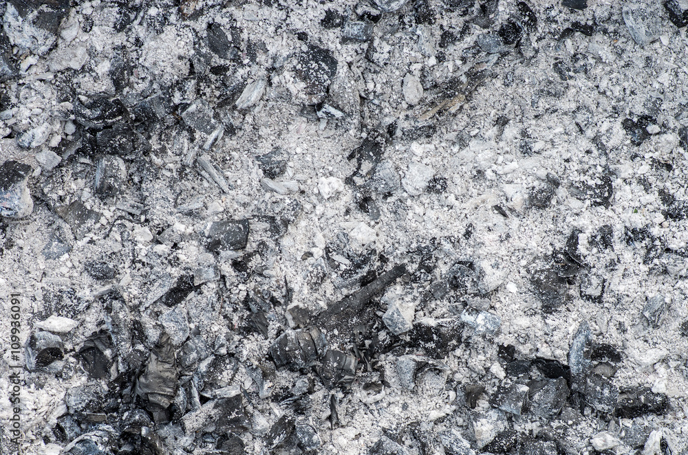Fototapeta premium Texture ash.