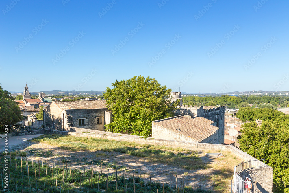 Avignon, France. View of the old city and the ancient buildings of the Papal residence