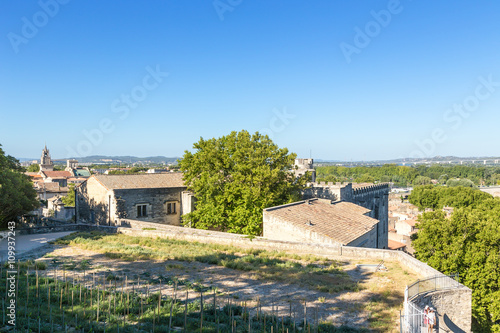 Avignon, France. View of the old city and the ancient buildings of the Papal residence