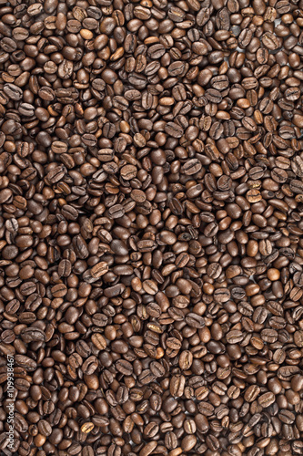 vertical image of coffee beans.