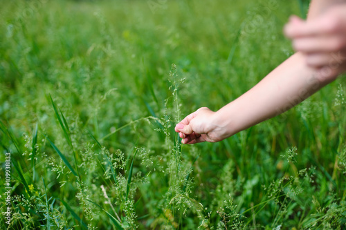 Woman picks plant on meadow
