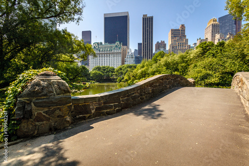 Central Park South from Gapstow Bridge. The bridge spans The Pond on a quiet morning in Central Park springtime. New York City