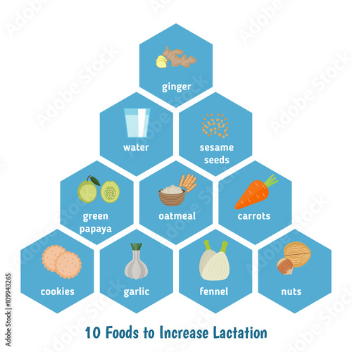 Foods to increase lactation