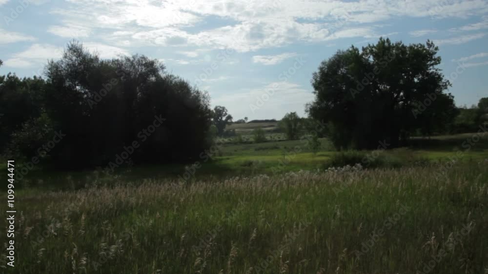 Scene moves up past wildflowers to a reveal a pasture with square hay bales in the distance. Scene moves up past wildflowers to a reveal a pasture with square hay bales in the distance.