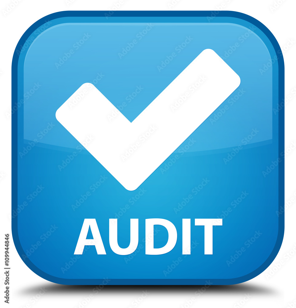 Audit (validate icon) cyan blue square button Audit (validate icon) cyan blue square button