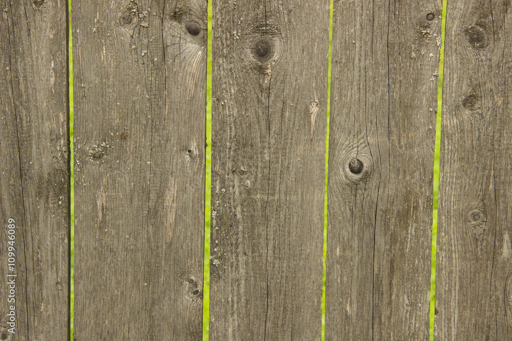 Fototapeta premium Rural fence from wooden planks with knots. Wood texture