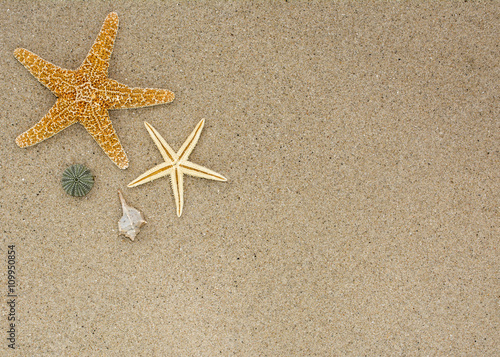 Estrella de mar y caracolas sobre fondo de arena en una playa, con espacio publicitario