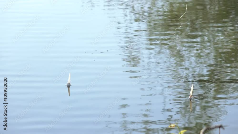 Floats on calm water river