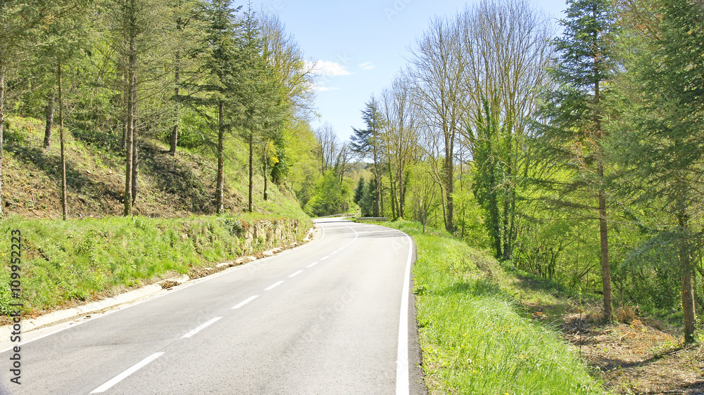 Fototapeta premium Carretera de Viladrau, Montseny, Catalunya, España