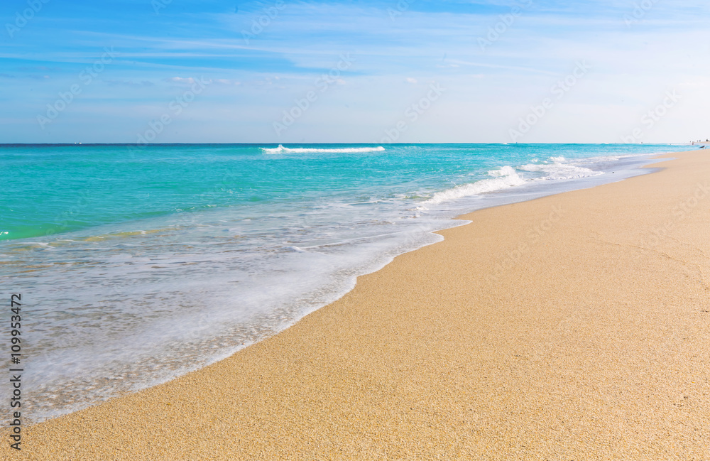 Obraz premium Waves lap the shore on the beach