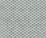 Silver scale pattern
