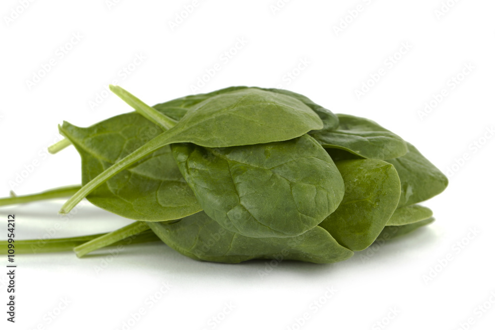 wet green spinach wet green spinach