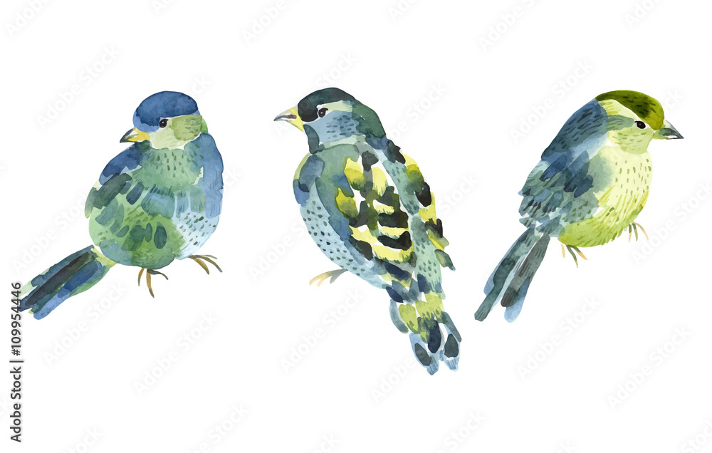 Obraz Kolekcja ptaków akwarela dla swojego projektu.