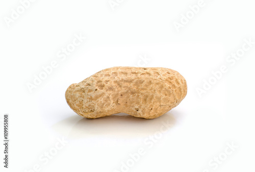 Dried peanuts on white background