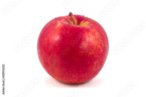 Wet red apple on a white background