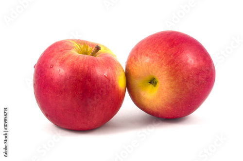 Wet red apples on a white background